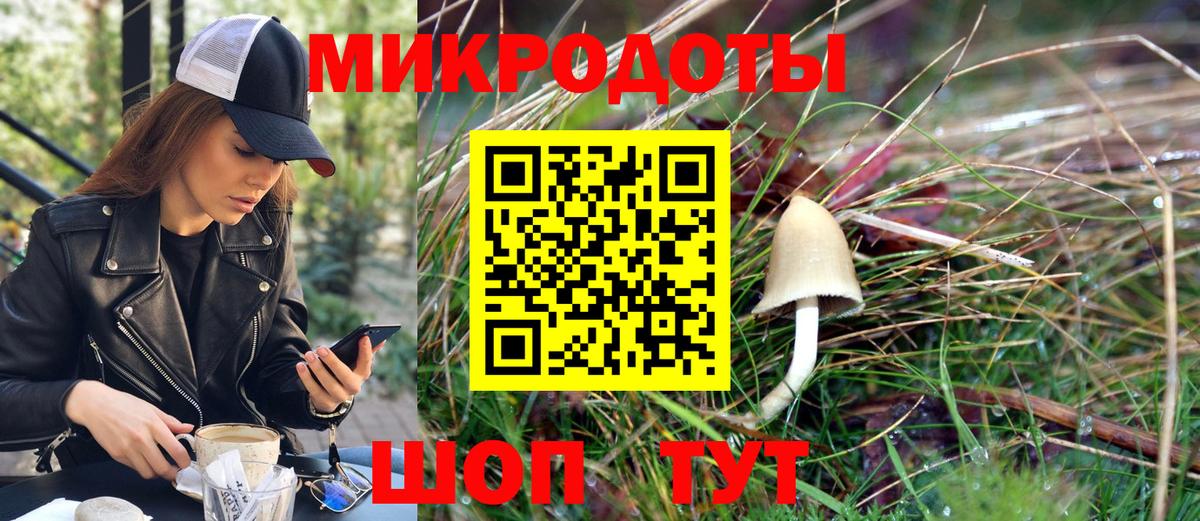 Псилоцибиновые грибы Psilocybine cubensis  Вход с VPN  Кириши 