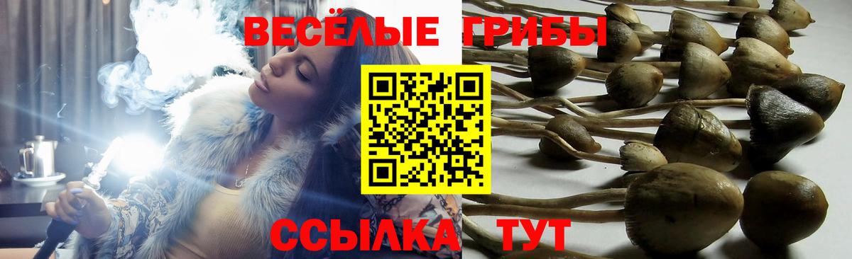 NBOMe Кириши
